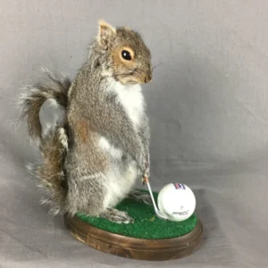 Squirrel Golfing Mount