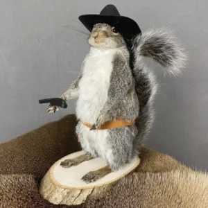 Cowboy Squirrel Taxidermy