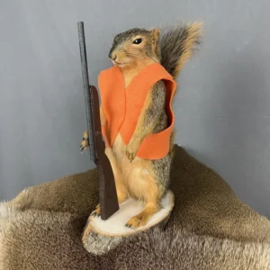 Squirrel Hunter Mount