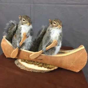 Squirrel Canoe Mount (Double)