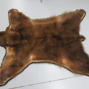 Bear Skin Rug. B-141R