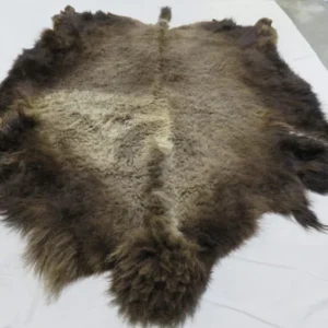 Bison/Buffalo Skin/Hide. O-117B