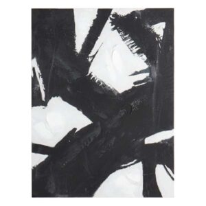 Black & White Abstract Canvas Wall Art, 30x40