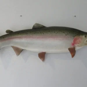 Rainbow Trout 29″ Fish. F-108RT