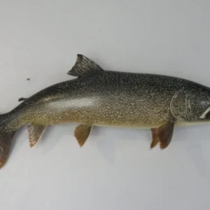 Lake Trout 35 RealSkin. F-111LT