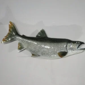 Lake Trout Taxidermy. F-110LT