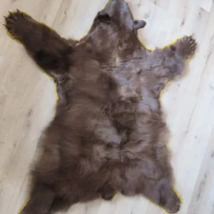 Black Bear Rug. B-144R