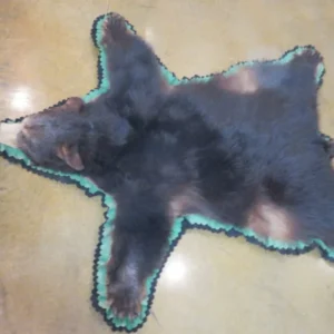 Bear Skin Taxidermy Rug. B-140R