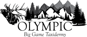 Olympic_Big_Game_Taxidermy