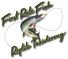 PA_FRFR_Taxidermy