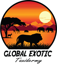 PA_Global_Exotic_Taxidermy