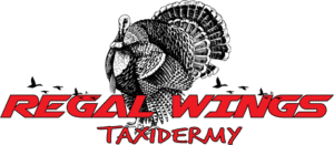 PA_Regal_Wings_Final_LOGO